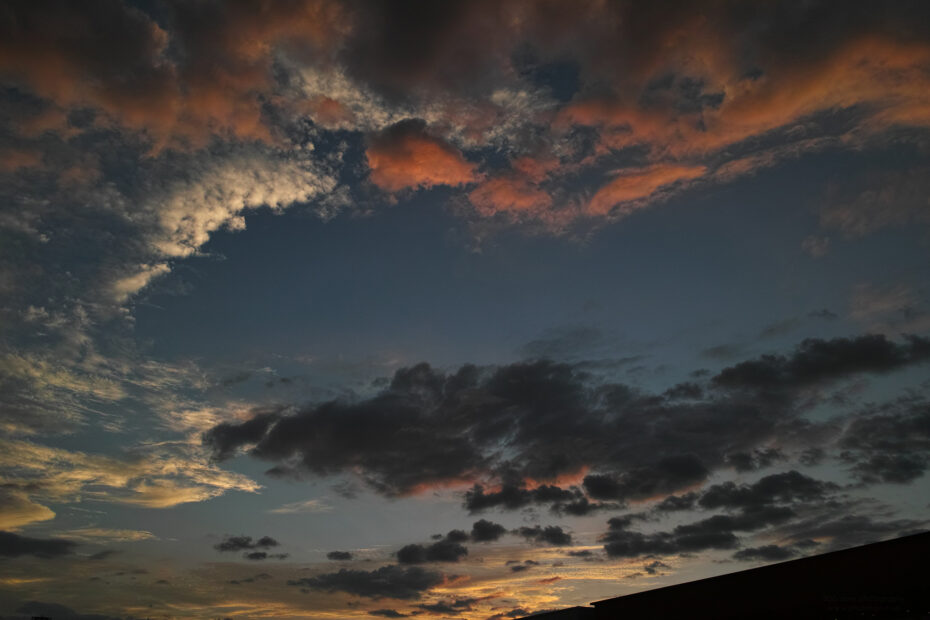 225/366 days photography season 10