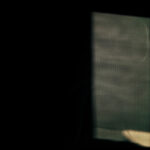 228/366 days photography season 10