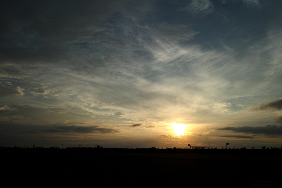 229/366 days photography season 10