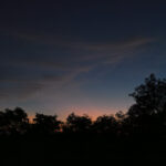 231/366 days photography season 10