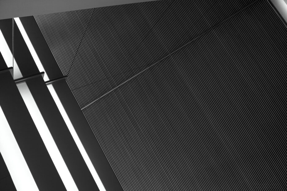 232/366 days photography season 10