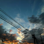 235/366 days photography season 10