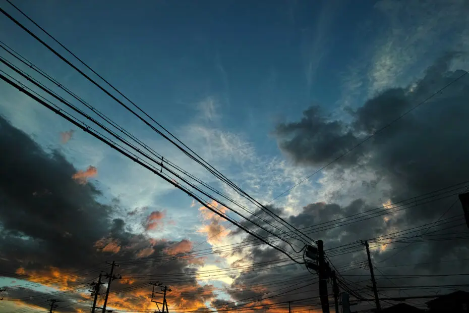 235/366 days photography season 10