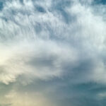 236/366 days photography season 10
