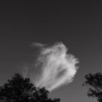 237/366 days photography season 10