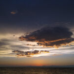 238/366 days photography season 10