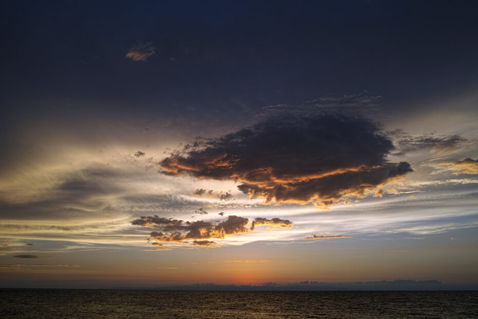 238/366 days photography season 10