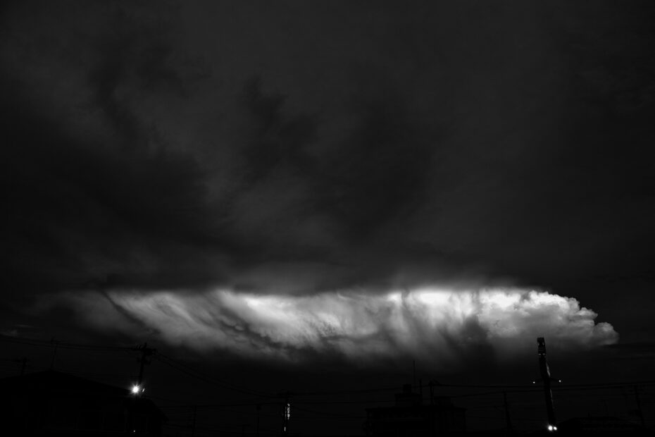 242/366 days photography season 10