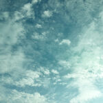 254/366 days photography season 10