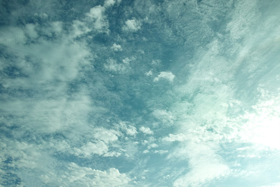 254/366 days photography season 10
