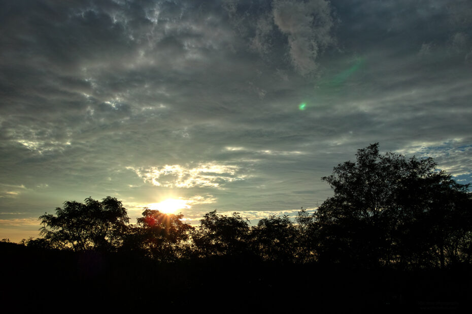 261/366 days photography season 10