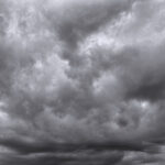 262/366 days photography season 10