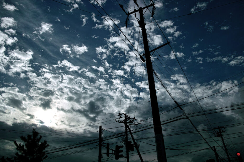 263/366 days photography season 10