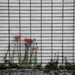 266/366 days photography season 10