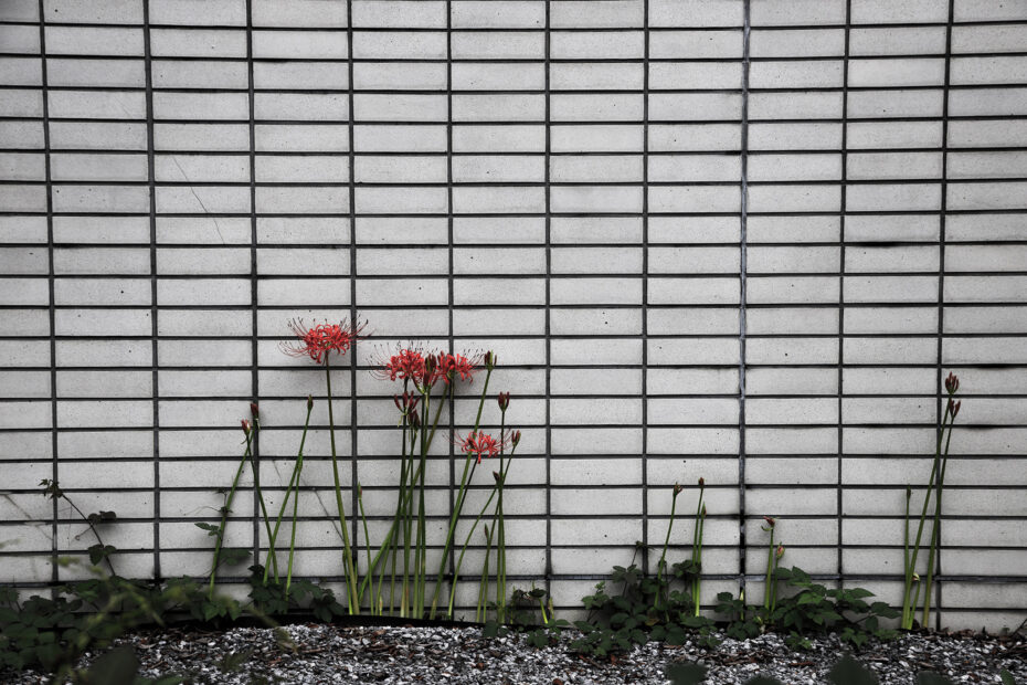 266/366 days photography season 10