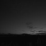 272/366 days photography season 10