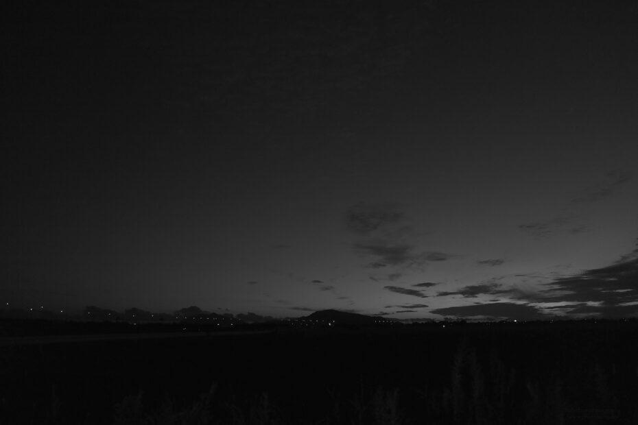272/366 days photography season 10