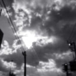 279/366 days photography season 10
