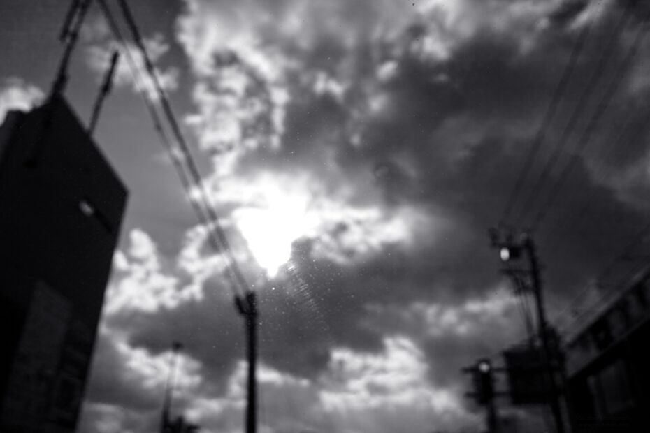279/366 days photography season 10