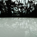 280/366 days photography season 10