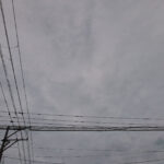282/366 days photography season 10