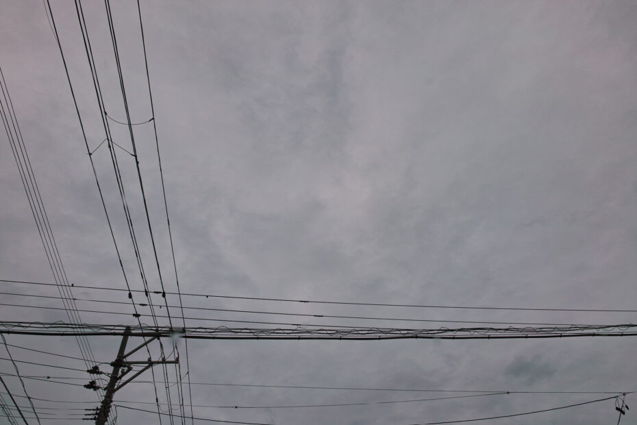 282/366 days photography season 10