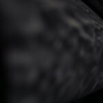283/366 days photography season 10