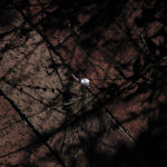 287/366 days photography season 10