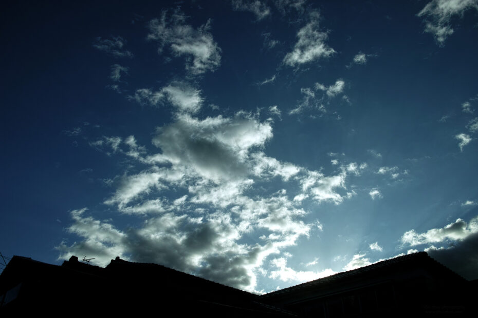 290/366 days photography season 10