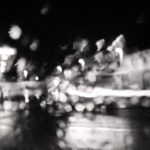 293/366 days photography season 10