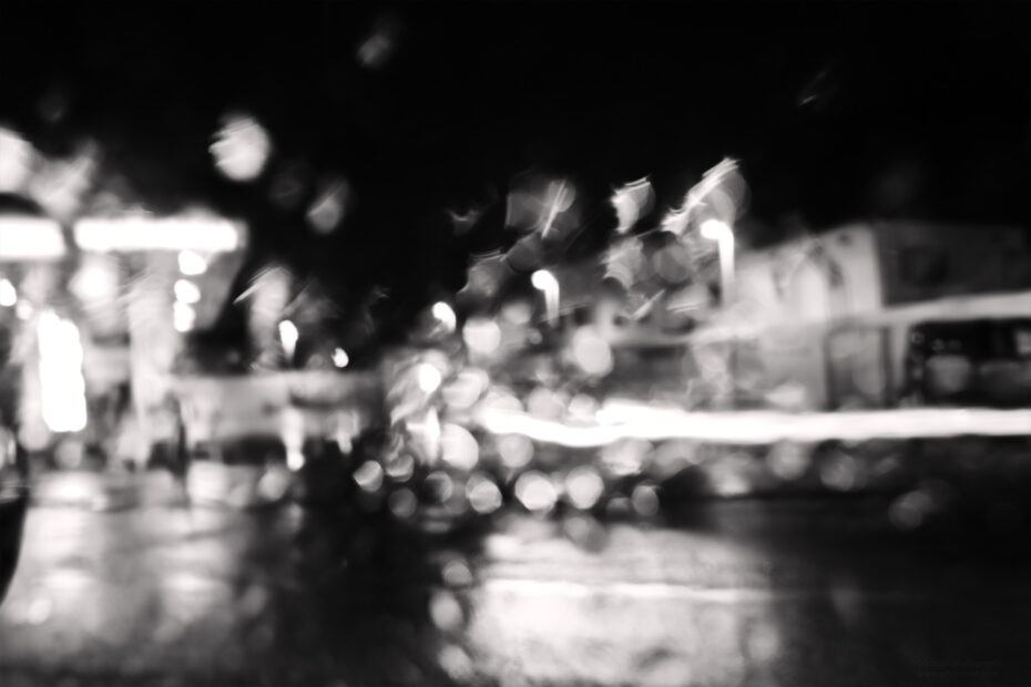 293/366 days photography season 10