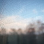 297/366 days photography season 10