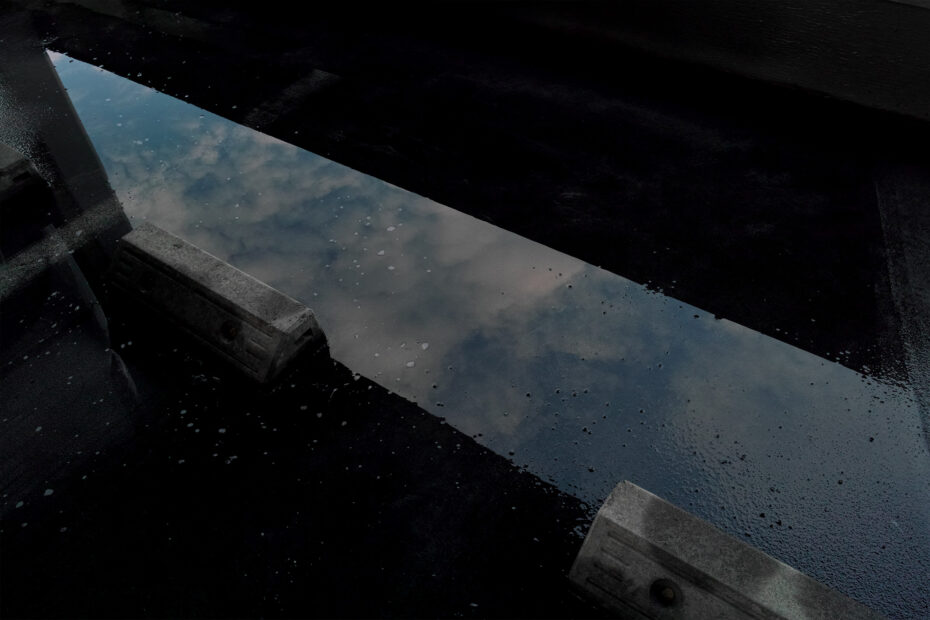 301/366 days photography season 10