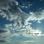 305/366 days photography season 10