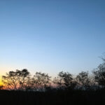 307/366 days photography season 10