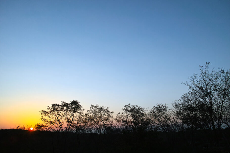 307/366 days photography season 10