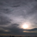310/366 days photography season 10