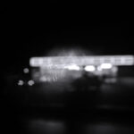 311/366 days photography season 10