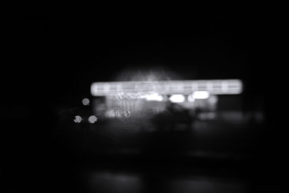 311/366 days photography season 10