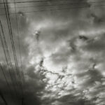 312/366 days photography season 10