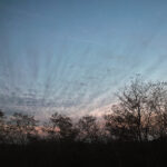 313/366 days photography season 10
