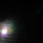 314/366 days photography season 10