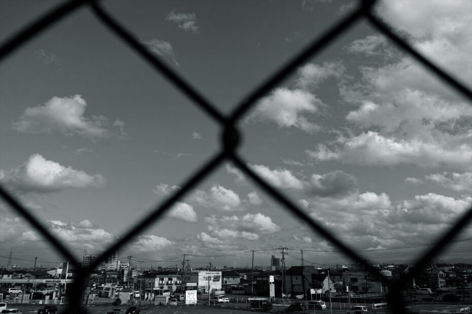 315/366 days photography season 10