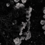 316/366 days photography season 10