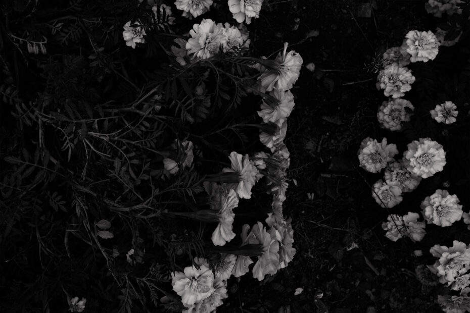316/366 days photography season 10