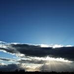 318/366 days photography season 10