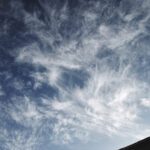 319/366 days photography season 10
