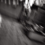 323/366 days photography season 10