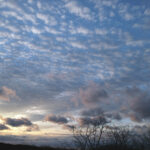 330/366 days photography season 10