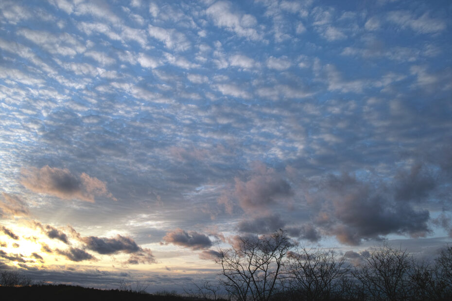 330/366 days photography season 10